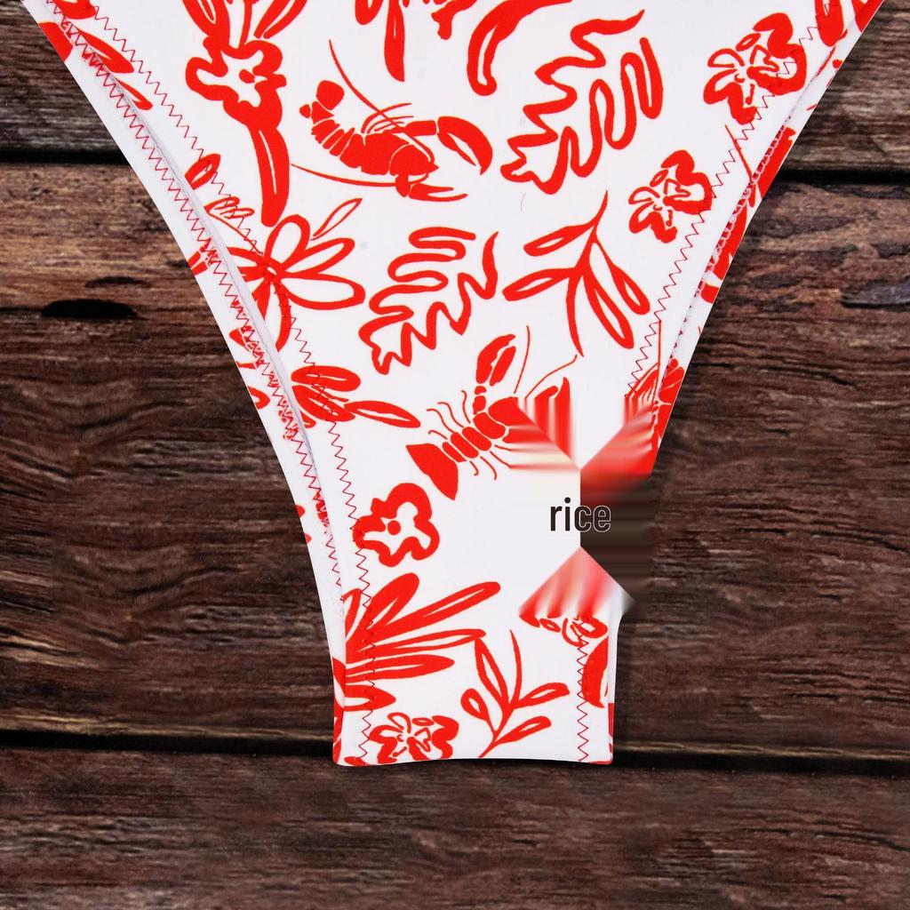 2024 Sexy Orange Print Bikini - Europäischer & Amerikanischer Stil Grenzüberschreitender Damen Badeanzug