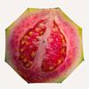 1pc Watermelon Pattern Automatic Folding Umbrella - Portable Foldable Design with 8 Ribs, Durable Plastic & Iron Frame, Casual Outdoor Acces
