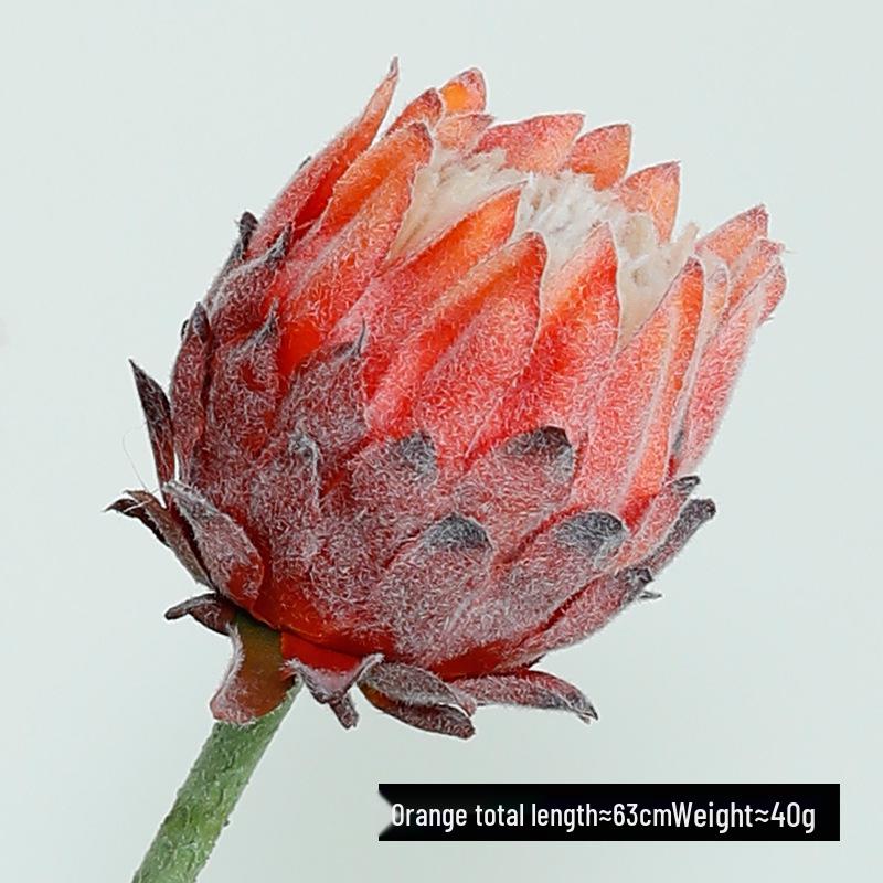 Nordic King Protea Single Stem Faux Flower Bouquet for Living Room or Wedding Decor