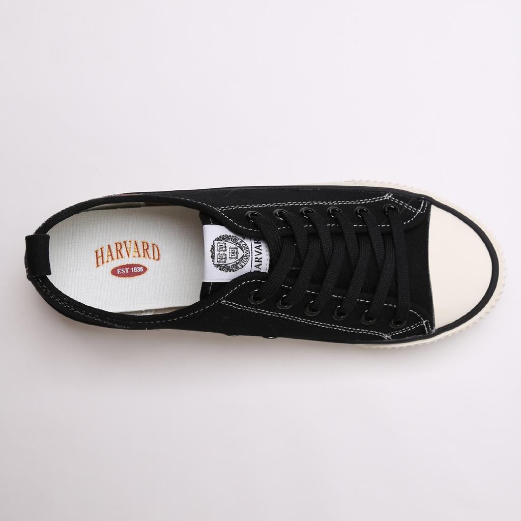 Harvard Shoes Scylla Canvas Sneakers Black