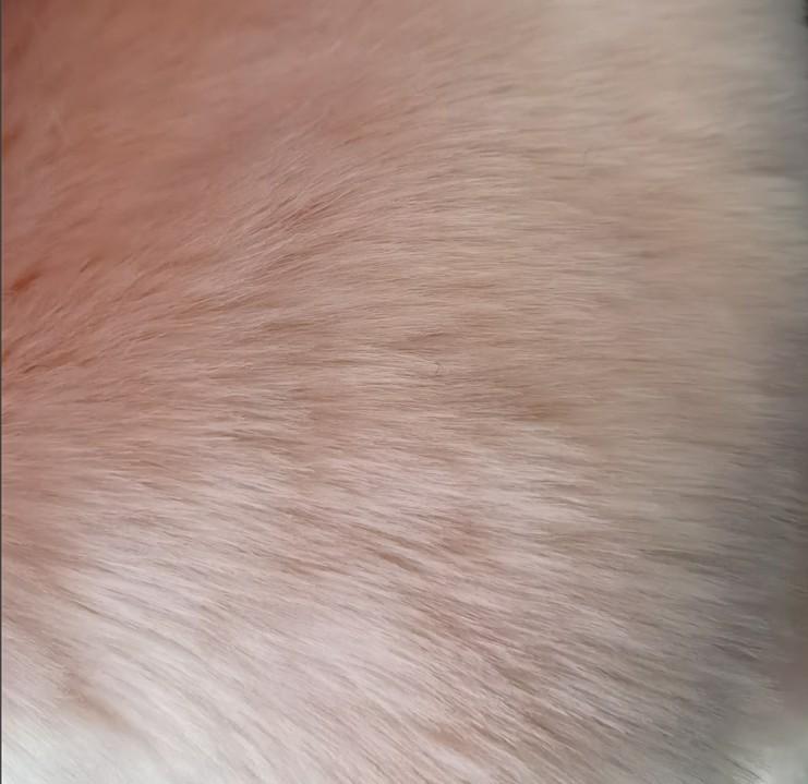 European and American Women's Faux Fur Coat, Imitation Fox Fur, 2023 Autumn/Winter Collection, Suit Collar.