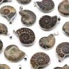 Natural Stones Pendants Ammonite Seashell Snail Ocean Reliquiae Conch Charms Jewelry Making DIY Animal Necklace Accessories 1pc