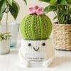Fake Cactus Decoration Crochet Potted Plants, Handmade Knitted for Home Office Car Plant Decor Decoration, Decorative Plants Lasting Beauty,