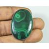 70 de bucăți. Cabochon oval natural din malachit verde, vrac, 25x40x05 mm, SK-2012