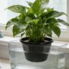 Ghivece de flori și coșuri – Containere pentru răsad
