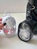 Portable Mini Transparent Zipper Storage Bag, Compact Multi-Functional Pouch, Earphone And Charger Organizer With Keychain