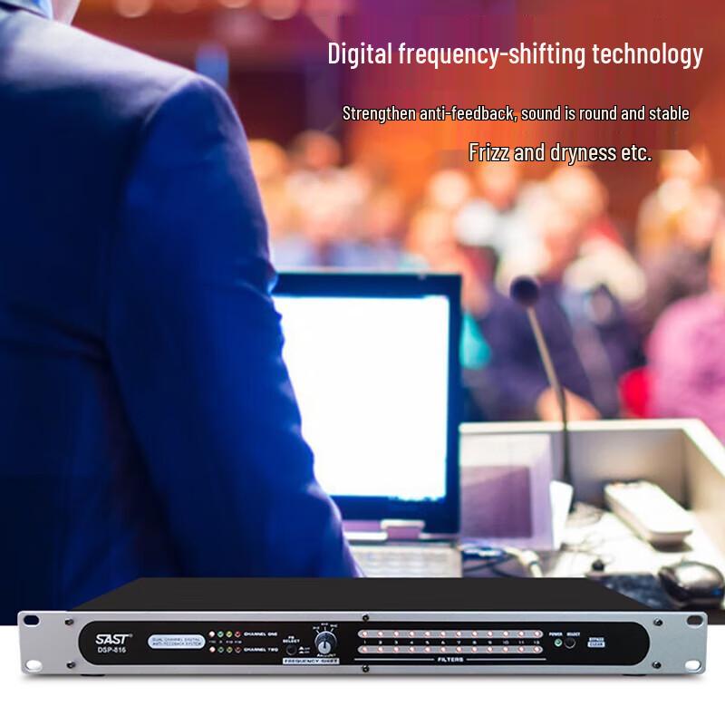 SainSonic Professional 15-inch PA Speaker System with Amplifier & Wireless Mics