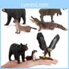 Simuliertes Hirsch Adler Stier Bär Krokodil Flussotter Wildtier Modell Ornament Für Sammler