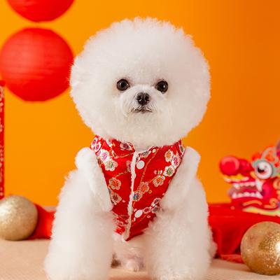 New Autumn and Winter Festive Chinese New Year Dog Clothes Than Bear Small Dog Velvet Warm Two Feet Tang Suit Pet Clothing