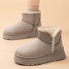 Snow Boots Women's Cotton Shoes High-top Cold-proof Women's Boots Warm and Comfortable Shoes Women's Fashion Versatile Boots
