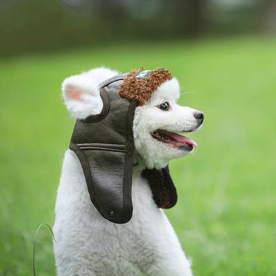 Pet Supplies Autumn and Winter New Pet Dog Aviator Cap Pet Retro Fashion Warm Hat