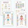Creative Human Anatomy Busy Book Children'S Fun Learning Picture Album With Illustration Learning Planner