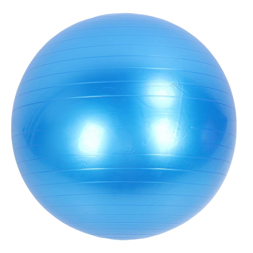 Extra Thick Exercise Ball PVC Anti Burst Inflatable Gym Ball with Pump for Pilates Balance Stability Core Workout