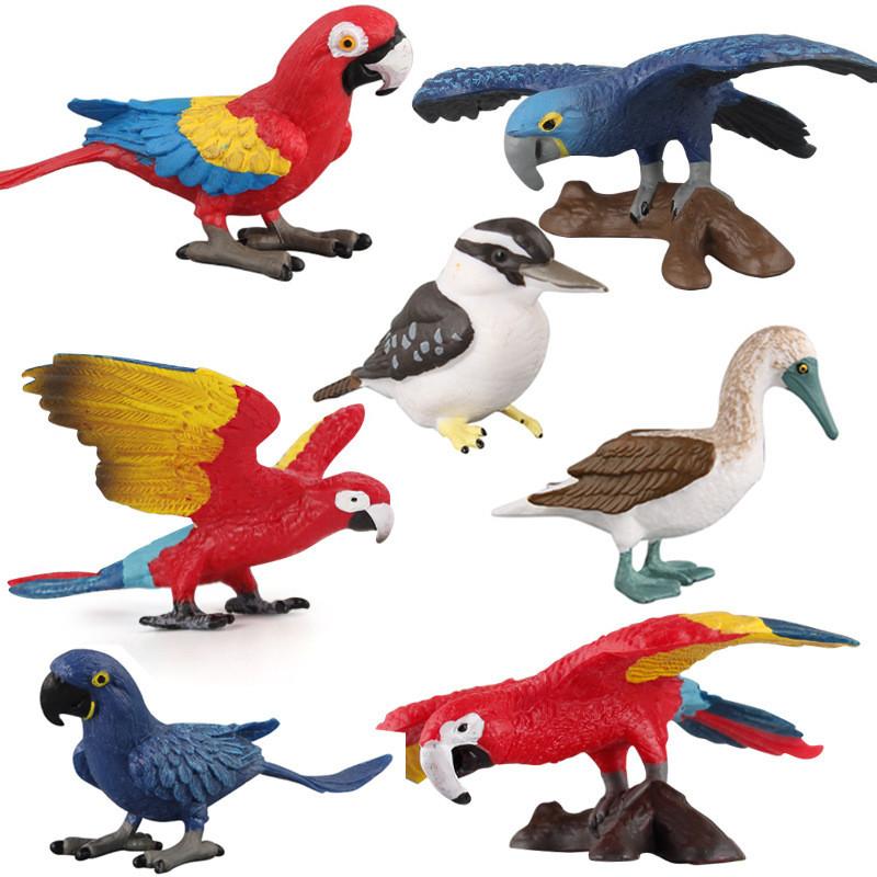Parrot Kookaburra Model Set With Pvc Material For Childrens Educational Play And Collecting