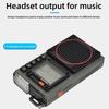 Multi Function AM/FM/SW/WB Full Band Radio Mobile APP Remote Radio Portable Bluetooth Digital Card Player for The Elderly
