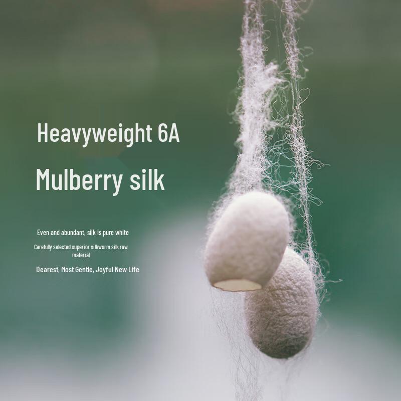 LESS 2024 Spring Two-Tone Mulberry Silk Shirt