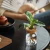 Home Decor Glass Vase, Thickened Transparent Flower Pot, Mini Creative Mountain View Bottle Small Flower Pot