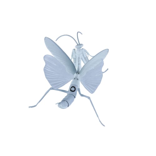 Free Research Series No. 235 Cells at Work! Giant Praying Mantis White Blood Cell (Neutrophil) Ver. Plastic Model