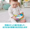 Bilingual Game Controller Foreign FXX43 Fisher-Price [Ages 6-36 Months] [Baby Toy] [Educational, English, Language]