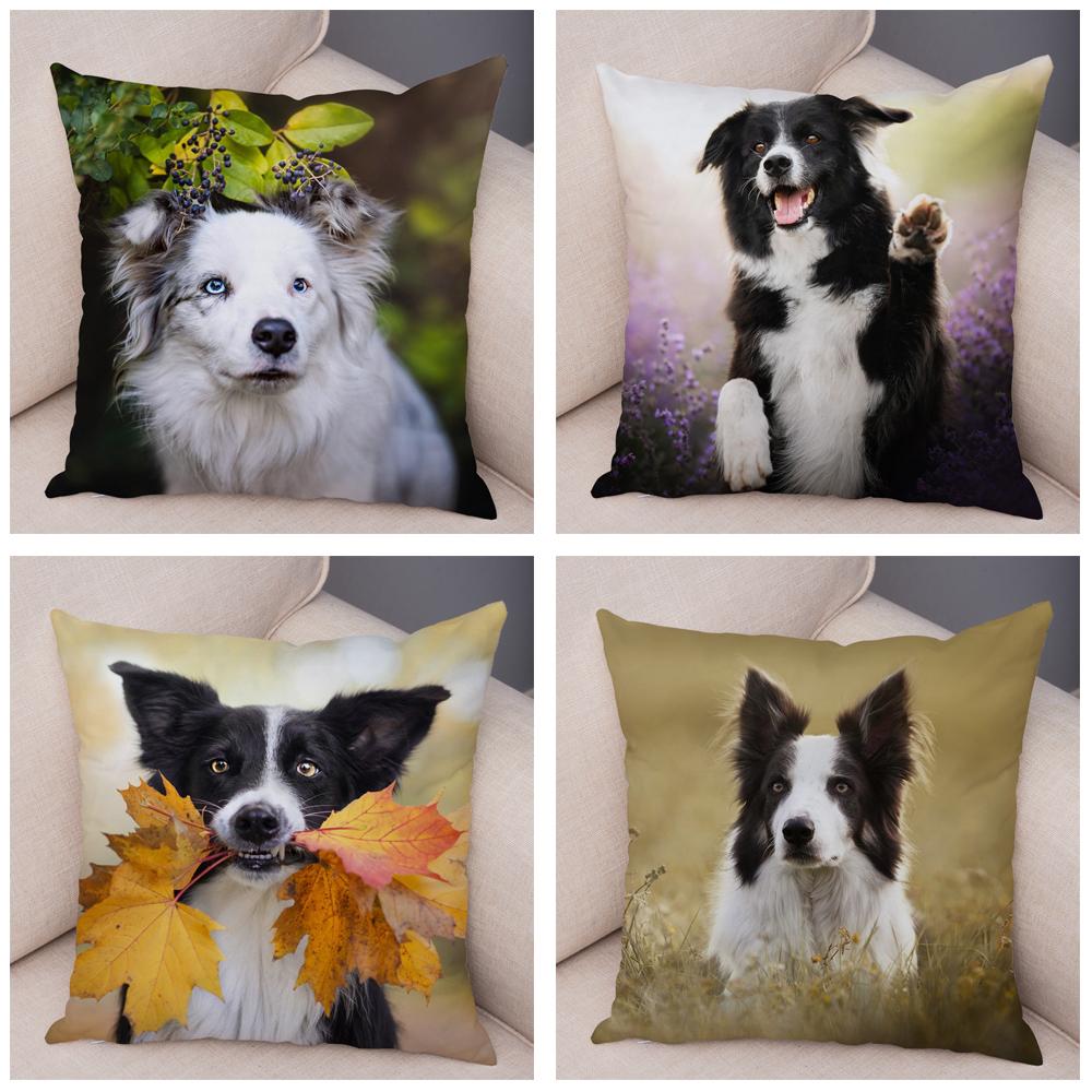 Cute Pet Animal Dog Print Pillowcase Scottish Border Collie Cushion Cover  Sofa Car Decoration