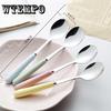 Ceramic Handle Stainless Steel Spoon Household Candy Color Family Cute Tableware