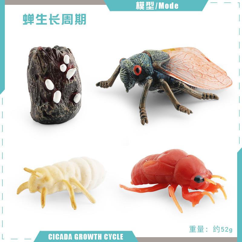 Realistic Mini Insect Set Featuring Grasshopper Bee Spider Life Cycle Models For Learning