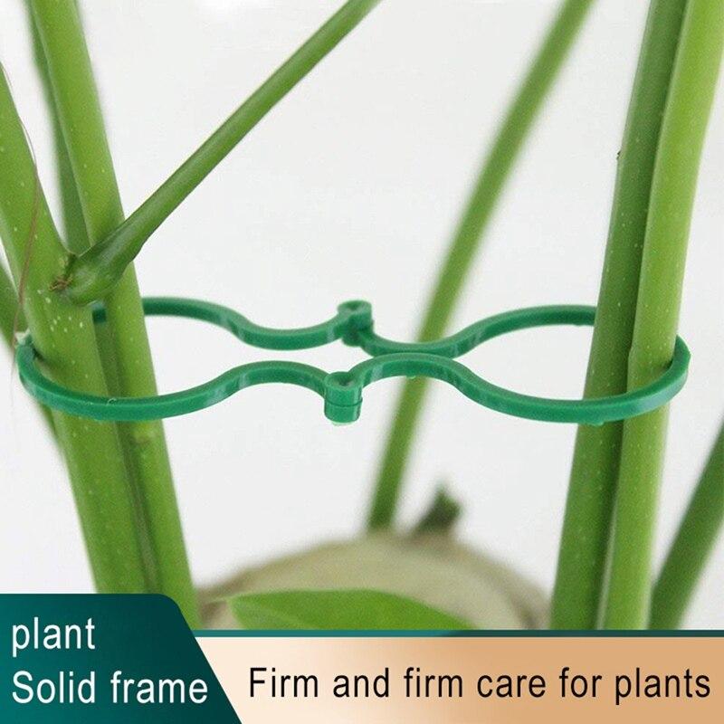 Plant Twist Clip, Lace, Garden Plant Support Clip, Vegetable, Tomato Vine Flower, Clip Plant Lock, For Fixing Plants /50 Pieces KTY
