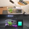 Office Decoration Fish Tank Clock Night Light Usb Mini Goldfish Bowl Table Lamp Small Multifunctional Ecological Aquarium