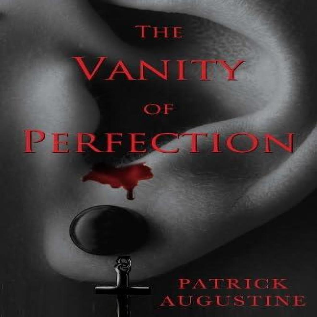 The Vanity of Perfection by Patrick Augustine Paperback Book 9781837944798