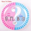 Baby Gender Reveal Party Decoration Boy Or Girl Disposable Tableware Pink Blue