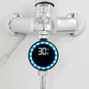 Shower LED Water Thermometer With Temperature Display, 0-99°C Range Stainless Steel ABS PC Leak-Proof