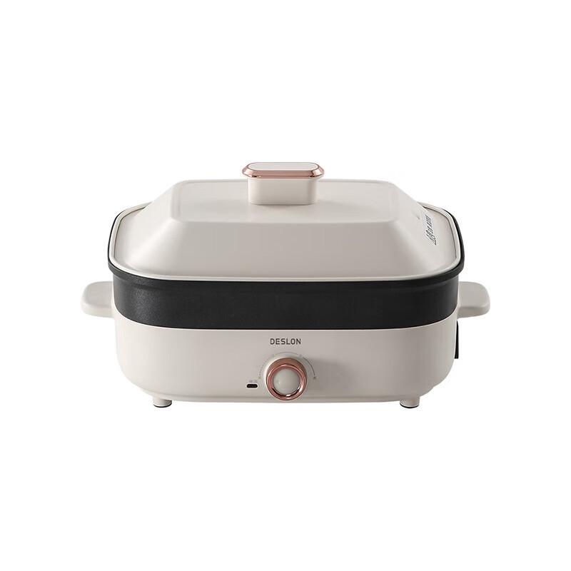 Deslang Multi-functional Electric Soup Hot Pot
