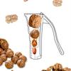 GIANXI Hazelnut Walnut Pliers Nut Cracker Chestnut Clip Sheller Opener Clamp Plier Funnel Shape Gadget Kitchen Accessories