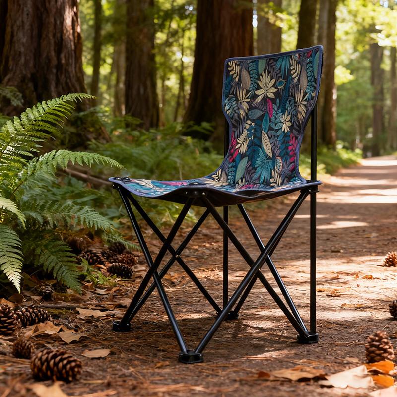 ZISIZ Portable Folding Outdoor Chair (2-Pack)