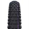 Шина Schwalbe Albert Gravity Pro Evo UltraSoft E-50 Tubeless 29'' x 2.50 MTB