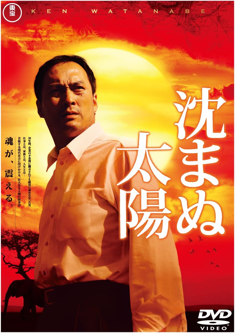 

DVD DVD - The Unbroken Standard Edition (2CD) TDV20118D Japan Movies & DVD Used