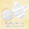 RICO Premium Baby 840 sheets sheets x 12 Calendula Large Wipes, (70 packs), Extract, Thick,