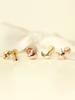 Minimalpiercing [0.8Mm] 14K Internal Mini Chubby Moon Star Heart Labret Piercing Earrings
