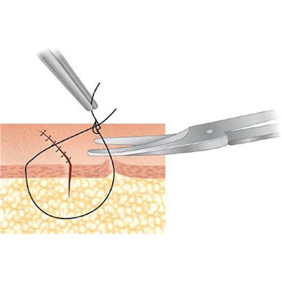 GDC Scissors Iris - Curved (11.5cm) (S18)