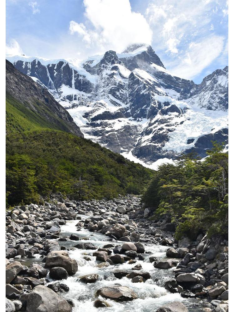 Nordisk Natur Landskap Grønn Skogsvei Fjellsjø Plakat Lerretsmaleri Veggkunst For Moderne Stue Hjem Dekorasjon
