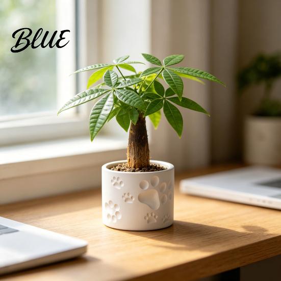 Cat Paw Flowerpot Plant Pot Print Pot Flower 3D Printed Cute Small for Embossed Desk Animal Theme Planter Home