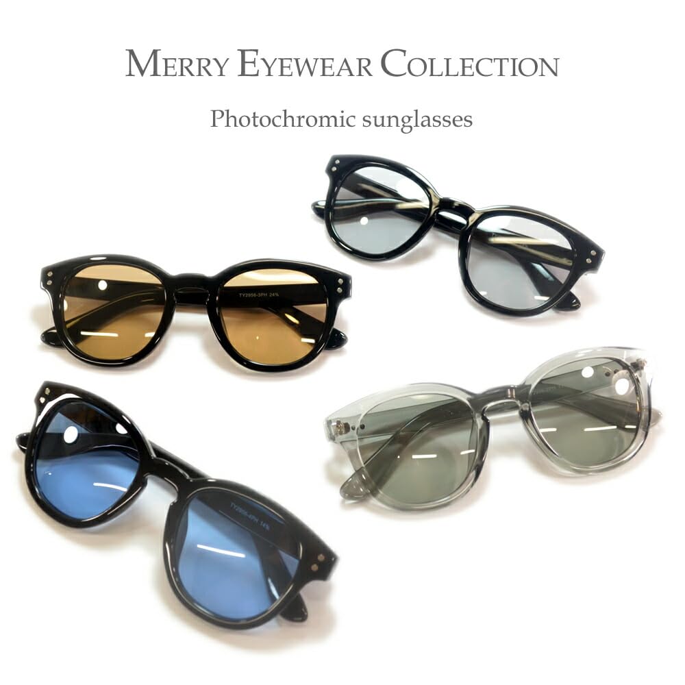 Photochromic polarized and fashion Boston round colored TY2956ph [MERRY PLEASURE] sunglasses, sunglasses, men's women's, glasses, glasses, tinted,