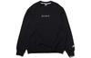 Nike Sweatshirts Men's Crew Neck Moderate Regular CD0415-010
