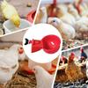 6-24Pcs Poultry Drinking Bowl Feeder Automatic Chicken Drinker Cup Kit Farm Animal Drinking Water Feeder Chick Coop Accessories