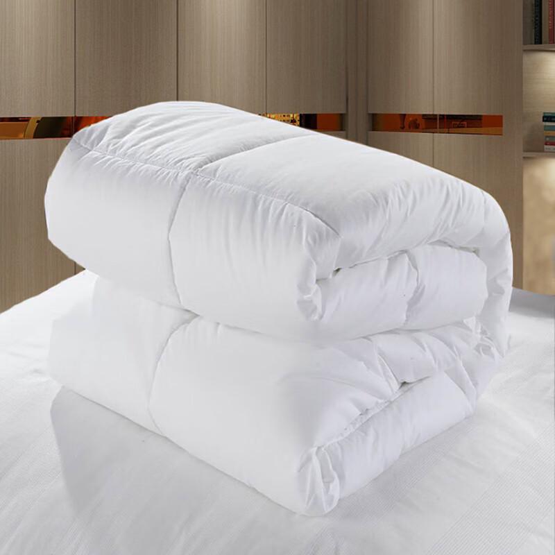 SUISLEEP Brushed Microfiber Winter Fiber Quilt