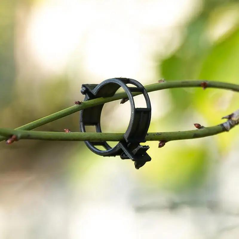 50-200Pcs Plant Support Clips Fixtureplastic Garden Vine Strapping Clip For Climbing Plantstomatograpeplants Stalks Holder