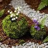 Humidity Maintaining Planter Moss Ball Flower Pot, Natural Green Bonsai Plant Holder, Decorative Spherical Pot for Home, Garden, Wedding Party