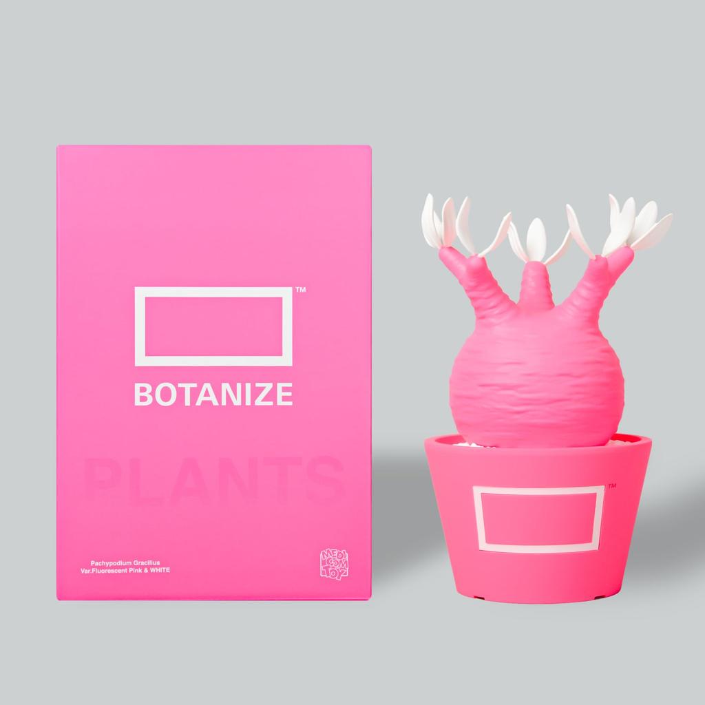 BOTANIZE X MEDICOM TOY Pachypodium Gracilis Figure Pink Pop Color American Goods Style Interior [Limited Sale] (Pink)