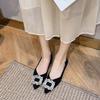 Soft-soled Pointed-toed Flat-soled Single Shoes Women's 2025 Spring and Autumn New Fashionable Versatile Doudou Shoes Shallow-mouthed Fairy Wind G