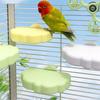 Wear Resistant Bird Resting Platform Cloud Shape Beak Grinding Stand Hopping Stand  Cockatiel